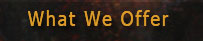 what we offer